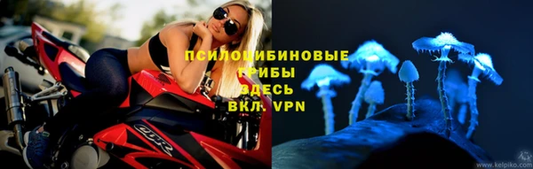 МДМА Дмитровск
