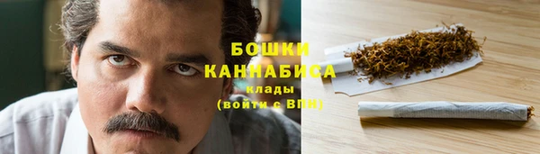 ECSTASY Гусев
