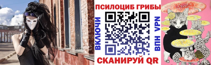 OMG ССЫЛКА  Петровск-Забайкальский  Псилоцибиновые грибы мицелий  как найти  