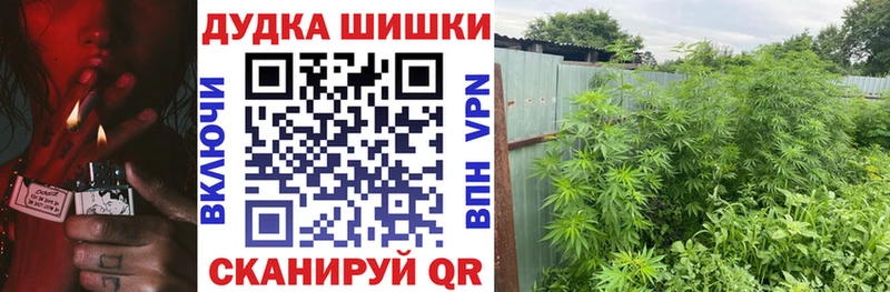 Каннабис гибрид  Петровск-Забайкальский 